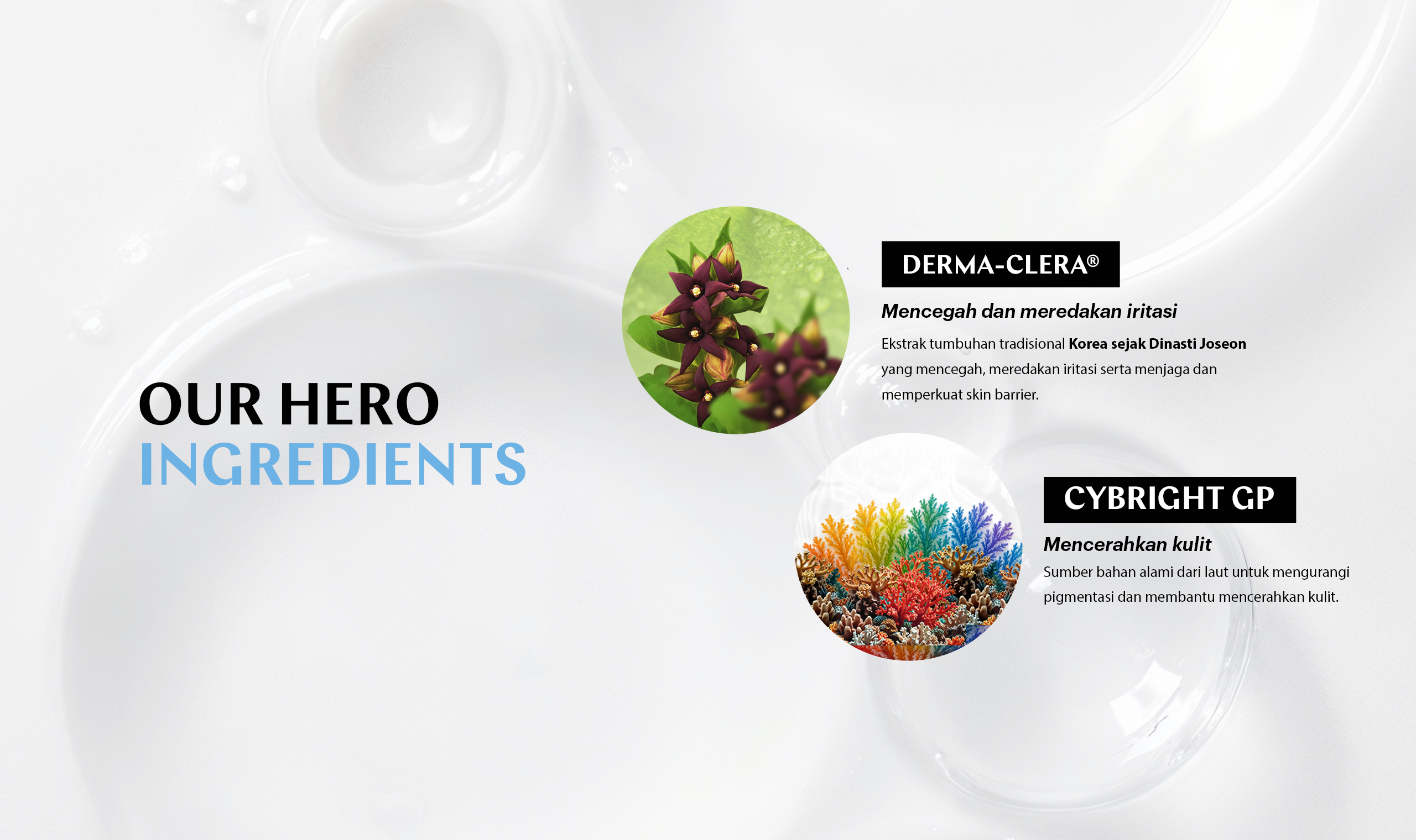 Antiperspirant Banner